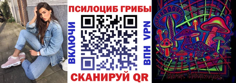 закладки  Богородск  Псилоцибиновые грибы прущие грибы 