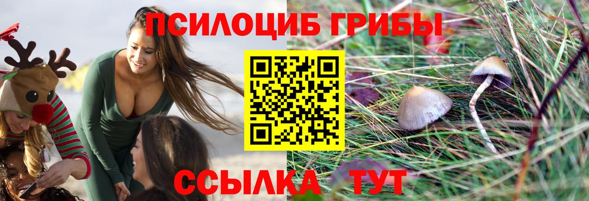Галлюциногенные грибы прущие грибы Богородск